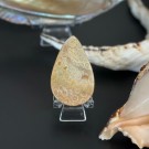 Agatisert Korall/Korall Fossil Dråpe #2 thumbnail