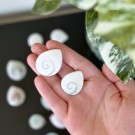 Shiva Skjell Dråpe (to størrelser) thumbnail