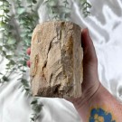 Forsteinet Tre Telysholder Høy thumbnail