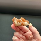 Mandarinkvarts Gruppe [Tangerine] #3 thumbnail