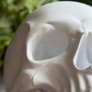 Hodeskalle - Memento Mori  thumbnail