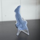 Blå Fossiliert Korall #3 thumbnail
