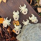 Mini Spider Donut - Vanilla Chocolate/Vanilje Sjokolade thumbnail