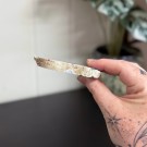 Blå Fossiliert Korall #10 thumbnail