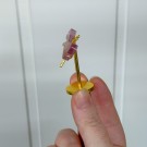 Regnbue Fluoritt Mini Øyenstikker thumbnail