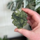 Edderkopp på blad - Fruit Jasper & Serpentin #2 thumbnail