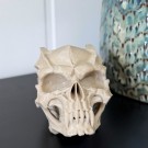 Vel Unt’s Demon Skull - Fantasy Hodeskalle (KUN 1) thumbnail