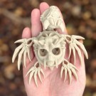 Hollow Skeleton Turtle thumbnail