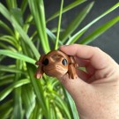 Flexi Sjokolade Frosk thumbnail