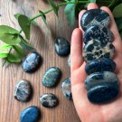 Rosa Dumortieritt Lommestein thumbnail