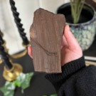 Krystallisert Forsteinet Tre fra Zwenkau, Tyskland #4 thumbnail