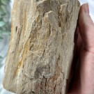 Forsteinet Tre Telysholder Høy thumbnail