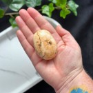 Heulanditt, Skolesitt & Tre Agat Håndstein #3 thumbnail