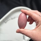 Unik Rosa Forsteinet Tre Shiva #6 thumbnail