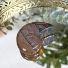 Sjø Jaspis Ammonitt Utskjæring thumbnail