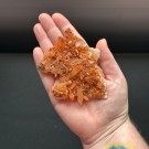 Mandarinkvarts Gruppe [Tangerine] #7 thumbnail