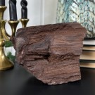 Krystallisert Forsteinet Tre fra Zwenkau, Tyskland #6 thumbnail