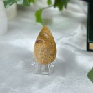 Agatisert Korall/Korall Fossil Dråpe #1 thumbnail