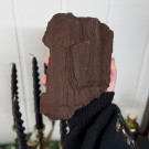 Sjelden Krystallisert Forsteinet Tre fra Zwenkau, Tyskland #17 thumbnail