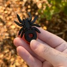 Mini Spider Donut - Pumpkin Spice thumbnail