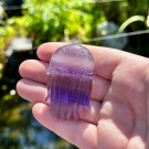 Fluoritt Jellyfish [2] thumbnail