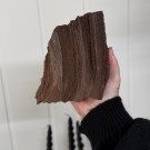 Sjelden Krystallisert Forsteinet Tre fra Zwenkau, Tyskland #21 thumbnail