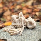 Hollow Skeleton Turtle thumbnail