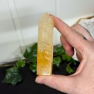 Golden Healer Tårn #3 thumbnail