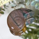 Sjø Jaspis Ammonitt Utskjæring thumbnail