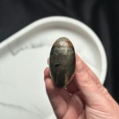 Golden Healer & Pyritt Shiva #1 thumbnail