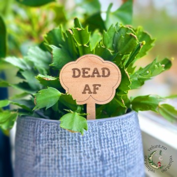 Vel Unt's Plant Stakes - DEAD AF