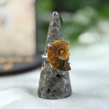 Ammonitt Justerbar Ring #2