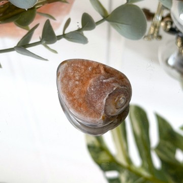 Krystallisert Skjell Cabochon - 20,7g