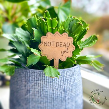 Vel Unt's Plant Stakes - NOT DEAD yet