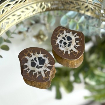 Septarian Nodule Par #3