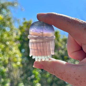 Fluoritt Jellyfish [1]