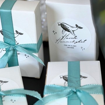 *UTSOLGT* Vel Unt’s Secret Scoop - Havets Hemmelighet fra en glemt lagune