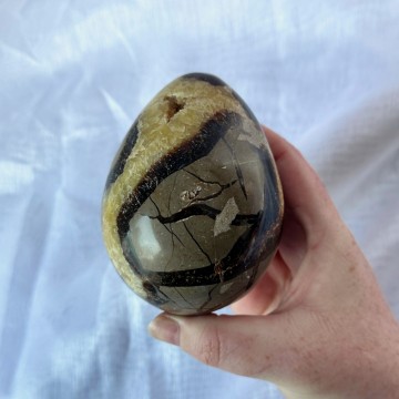 Septarian Egg [Drage Egg]