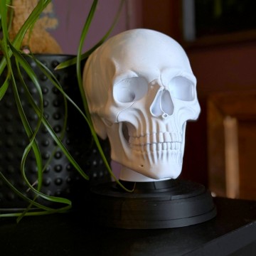 Hodeskalle - Memento Mori 