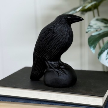 Nattens Vokter - Ravn i Svart Obsidian