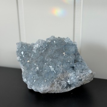 Celestin Gruppe 2,1KG