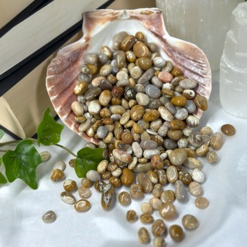 Agatisert Korall/Korall Fossil Chips, 30g 