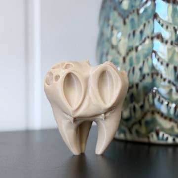 Cursed Tooth