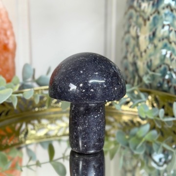 Stor Lepidolitt Sopp #3