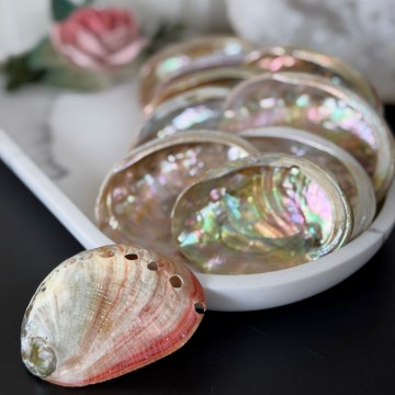 Små Abalone Skjell - Naturlig rituell skål for renselse, ro & balanse