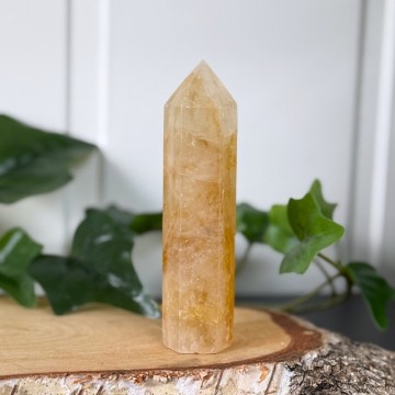 Golden Healer Tårn #2