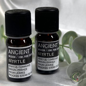 Myrt (Myrtle) Eterisk olje, 10ml