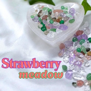*LIMITED* Strawberry Meadow - Krystallchips 50g