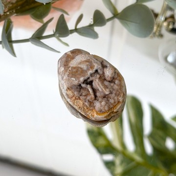 Krystallisert Skjell Cabochon - 20g