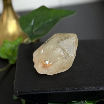 Naturlig Kundalini Citrin #5
